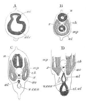 Illustration: Figure 28a