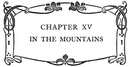 CHAPTER XV IN THE MOUNTAINS
