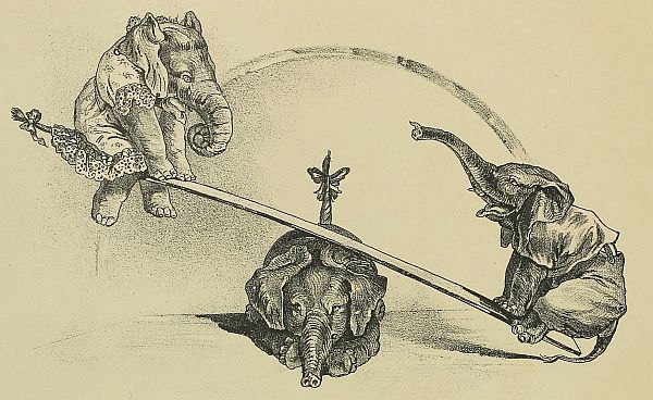 Two elephants on seesaw