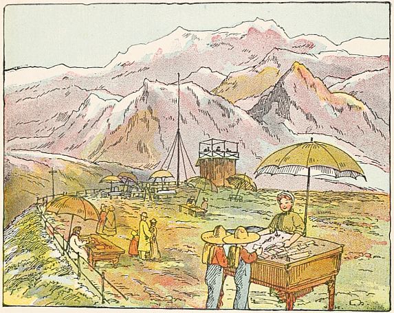 boys looking at things on table under umbrella