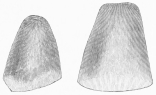 No. 2. Small Trojan Axes of Diorite (8 M.).