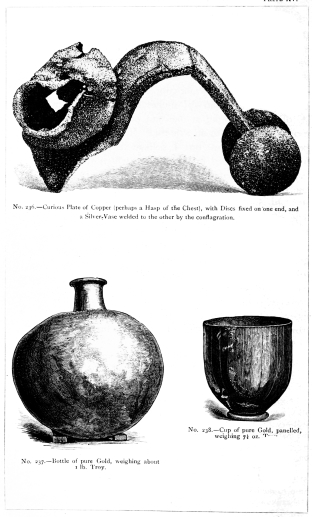 No. 236.—Curious Plate of Copper (perhaps a Hasp of the Chest), with
Discs fixed on one end, and a Silver Vase welded to the other by the
conflagration.

No. 237.—Bottle of pure Gold, weighing about 1 lb. Troy.

No. 238. Cup of pure Gold, panelled, weighing 7½ oz. Troy.

THE TREASURE OF PRIAM.

Page 325.

