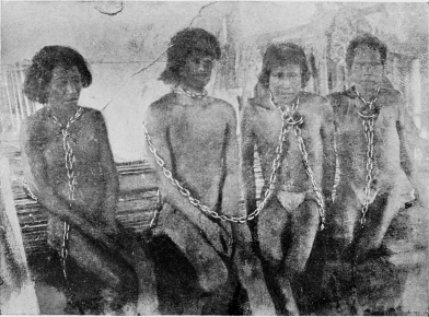 CHAINED INDIAN RUBBER GATHERERS IN THE STOCKS: ON THE
PUTUMAYO RIVER.

[Frontispiece