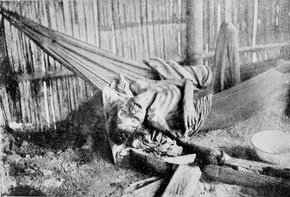 AN INCIDENT OF THE PUTUMAYO.

INDIAN WOMAN CONDEMNED TO DEATH BY HUNGER: ON THE UPPER PUTUMAYO.

(The Peruvians state that this was the work of Colombian bandits.)

Photo reproduced from “Variedades” of Lima, Peru.