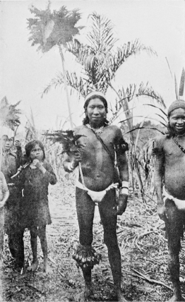 GUAMARES INDIANS, OF THE HUITOTO TRIBE, IN DANCE COSTUME.

To face p. 162.