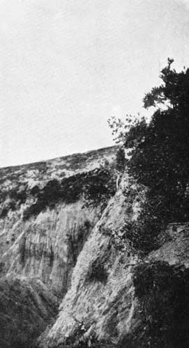 The Scored Cliffsides of Walker's Ridge
