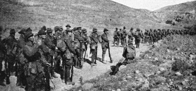 Auckland Mounted Rifles at Lemnos