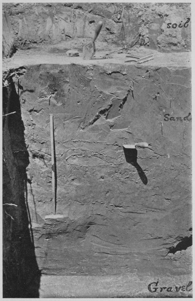 Fig. 3.—Occurrence of an Argillite Implement in Glacial Stratified Sand.