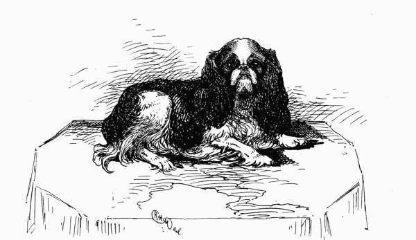 PRINCE CHARLES SPANIEL CH. "VICTOR WILD" H. TAYLOR OWNER.