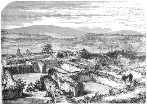 VIEW OF RUINED TOLTEC PALACE.