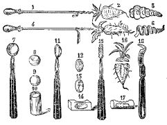 Fig. 38.&mdash;Espirales.