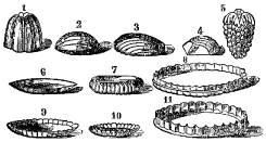 Fig. 65.&mdash;Moldes para pasteles, tortas, bizcochos, etc.