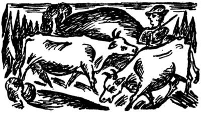 Abbildung: F&ouml;rster Brandis auf der Kuhweide