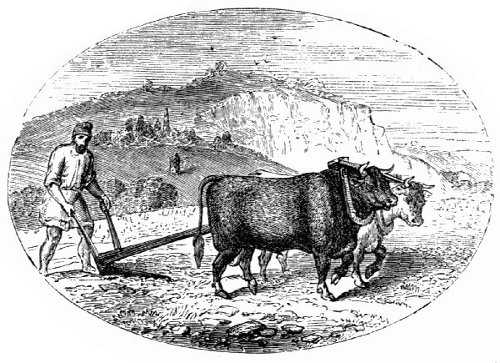 Ancient Ploughing and Treshing
