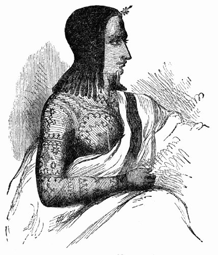 Tattoed Abyssinian Lady
