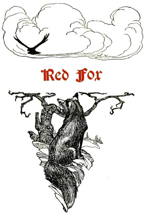 RED FOX&mdash;CHARLES&middot;G&middot;D&middot;ROBERTS