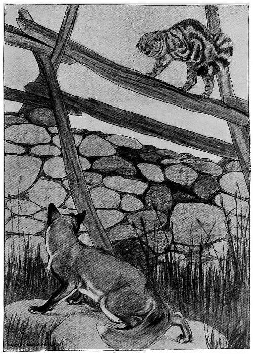 &ldquo;GLARING EYES, LONG TAIL FLUFFED OUT, AND HIGH-ARCHED BACK.&rdquo;