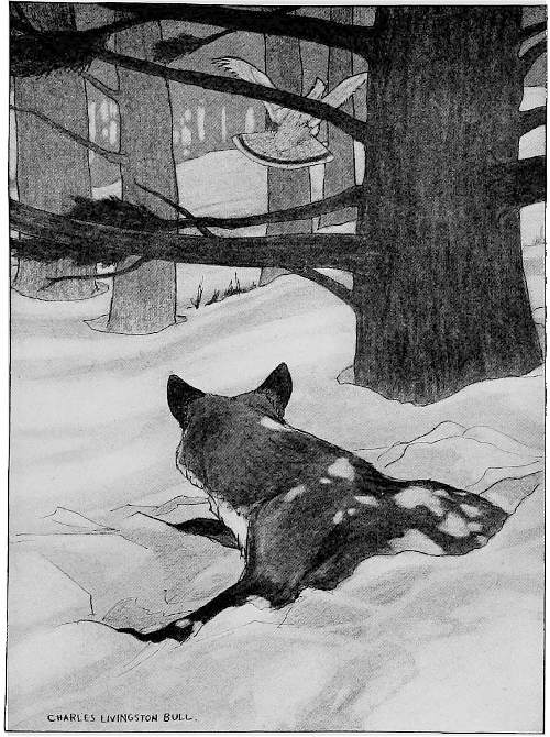 &ldquo;MUCH CHAGRINED, HE GAZED AFTER HER.&rdquo;