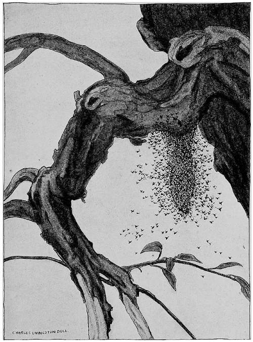 &ldquo;A DARK CLUSTER BEGAN TO FORM.&rdquo;