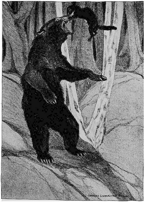 &ldquo;THE LITTLE MANIAC CLUNG TO THE BIG BEAST&rsquo;S TENDER SNOUT.&rdquo;