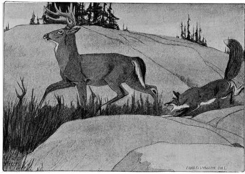 &ldquo;MOVED AWAY GRANDLY ABOUT HIS BUSINESS.&rdquo;