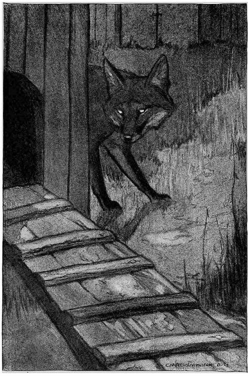 &ldquo;A SHADOWY SHAPE CAME FLITTING SOUNDLESSLY AROUND THE CORNER OF THE HEN-HOUSE.&rdquo;