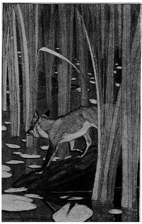 &ldquo;THE CENTRE OF THE MOST DIFFICULT PATCH OF SWAMP.&rdquo;