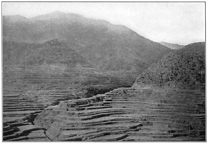 2. Mount Kalauítan, the second of the two sacred mountains of the Ifugaos; elevation 7,000 feet (2,134 meters). (Photograph by Miller.)