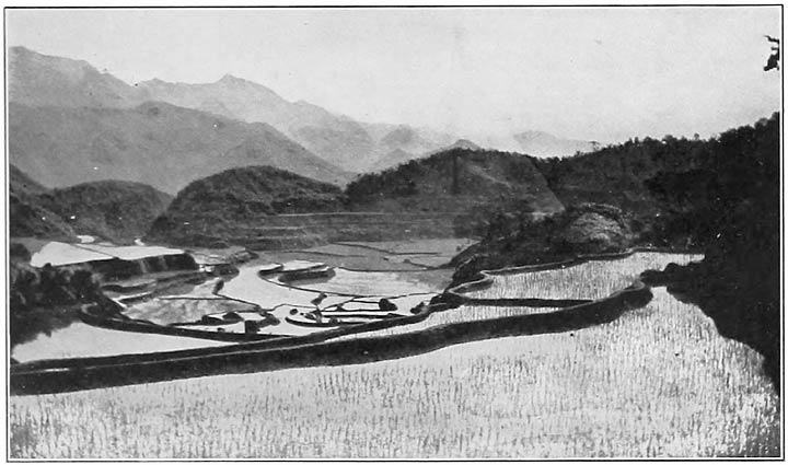 2. View from Ifugao toward the mythical region of the East. In the foreground are the Ifugao rice terraces—the most distinguishing feature of their culture. (Photograph by Beyer.)