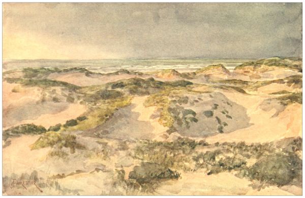 THE DUNES—
A Stormy Evening.