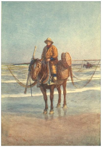 COXYDE&mdash;
A Shrimper on Horseback.