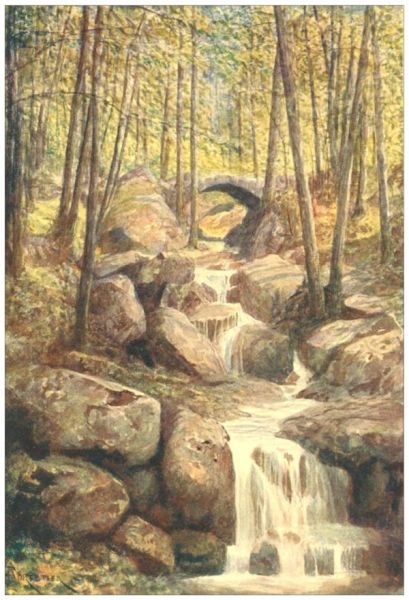 PONT DU PROPH�TE, PROMENADE
MEYERBEER, SPA WOODS