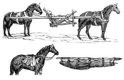 horses with stretcher