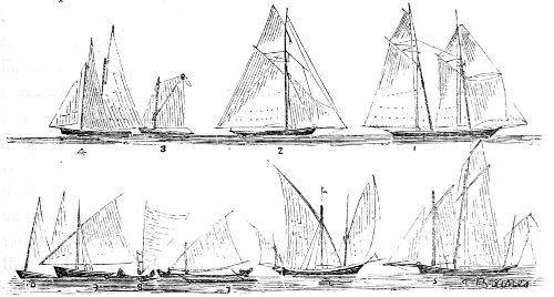forms of sails