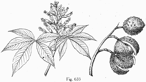 Fig. 633