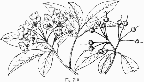 Fig. 710
