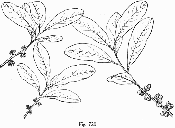 Fig. 720