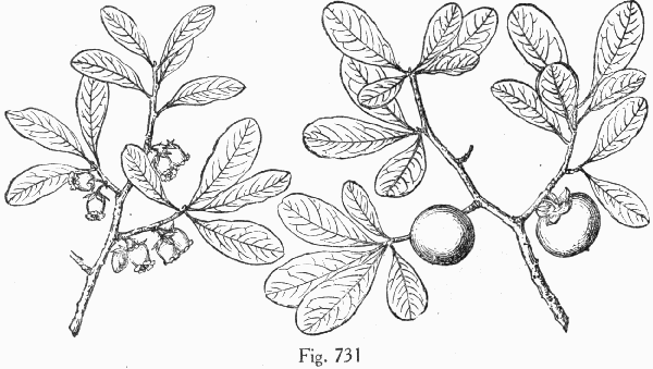 Fig. 731