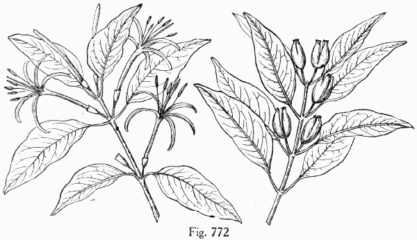 Fig. 772