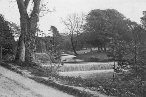 WATER-FALL IN THE MARQUIS OF
SLIGO'S DEMESNE, WESTPORT, COUNTY MAYO