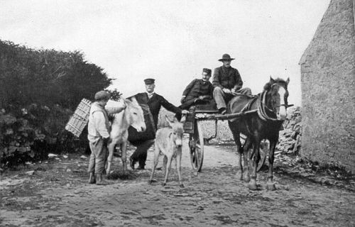 ON OUR WAY TO DUN AENGUS,
ARAN ISLANDS, "The only car on the island"