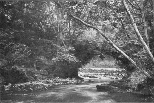 CARNISK BRIDGE AND SALMON-LEAP
(IN LOW WATER), NEAR RAMELTON, COUNTY DONEGAL