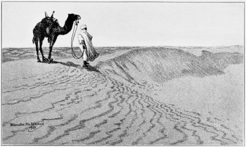 The Sand Dunes of the Desert