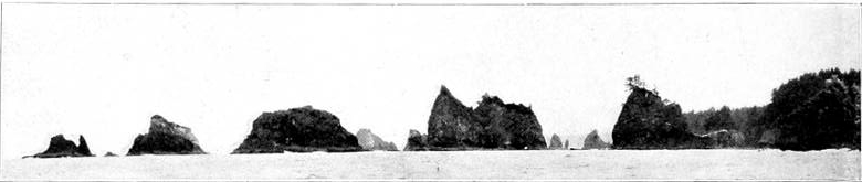 Taken in Clallam County. Photo by the Author.
POINT-OF-THE-ARCHES GROUP, A CHARACTERISTIC HAUNT OF THE RAVEN.