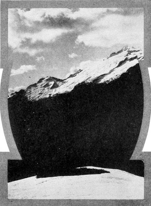 Taken in Skagit County. Photo by W. L. Dawson.
OUR LADY OF THE SNOWS.
A CHARACTERISTIC SUMMER HAUNT OF THE PIPIT.