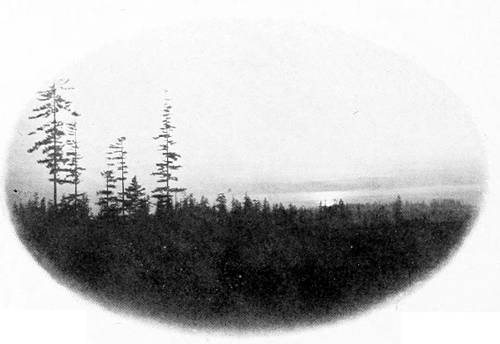 Taken in Seattle. Photo by the Author.
SUNSET AT THE ROBIN ROOST.