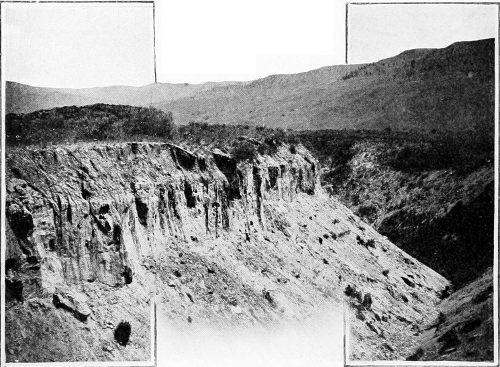 Taken near Chelan. Photo by the Author.
NESTING SITE OF THE BANK SWALLOW.