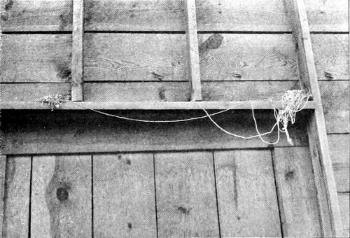 Taken at Stratford. Photo by the Author.
A DIVIDED HOUSE.