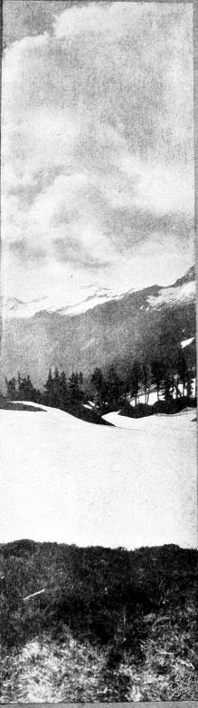 Taken in Chelan County. Photo by the Author.
CASCADE PASS.
WHERE BLACK SWIFTS HAVE BEEN SEEN.