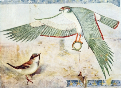 SPARROW

In the Temple at Deir-el-Bahari.